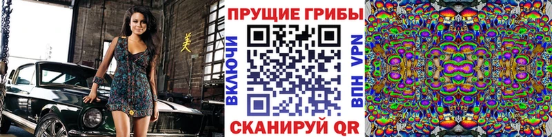 MEGA маркетплейс  Усолье  Псилоцибиновые грибы Psilocybine cubensis 
